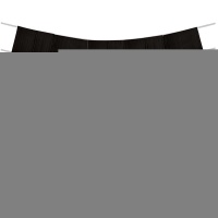 Гирлянда-бахрома Black&Gold150х25см9шт/А