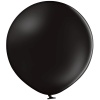 Р 250/025 Пастель Экстра Black (60см)