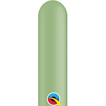 ШДМ 260Q Фэшн Cactus