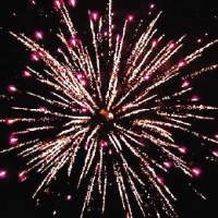 Снежный бал Р7319 (0,8