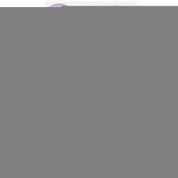 Р 250/009 Пастель Экстра Lavender (60см)