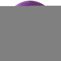 Р 250/009 Пастель Экстра Lavender (60см)