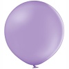 Р 250/009 Пастель Экстра Lavender (60см)