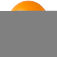 В 150/007 Пастель Экстра Orange