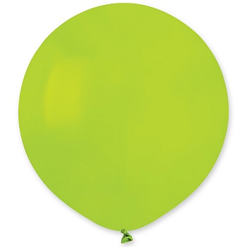 И 19"/011 Пастель Light Green
