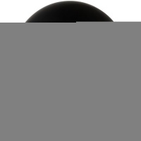 Р 350/025 Олимп паcтель Экстра Black