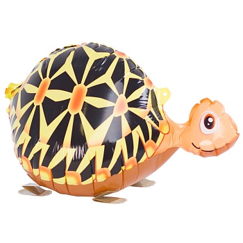 К ХОД Черепаха