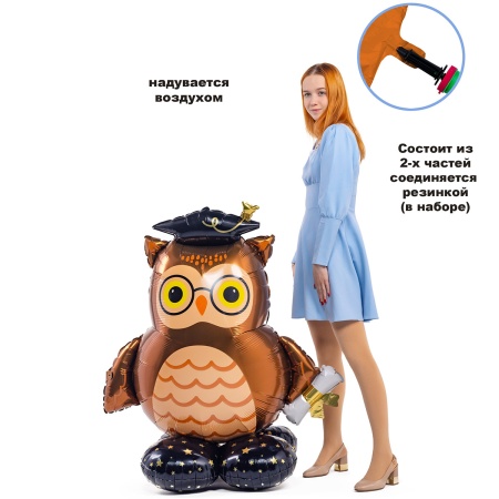 А ФИГУРА/P70 AIR Сова шапочка выпускника