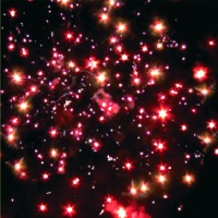 Бах стори Р7036 (0,6