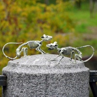 Скелет мыши 25х9см/G
