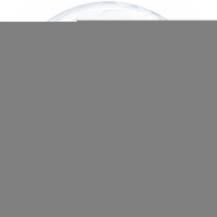 П BUBBLE DECO 24" Розы изящные и бабочки