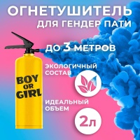 Баллон Гендер Пати Краски Холи 2л синий