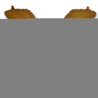 Г БУКВА Х 40" Gold