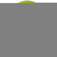 Э 5"/280 Фэшн Lime Green