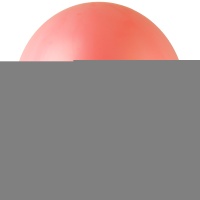 РА 350/004 Олимпийский пастель