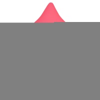 К Б/РИС ЗВЕЗДА 18" Неон Pink