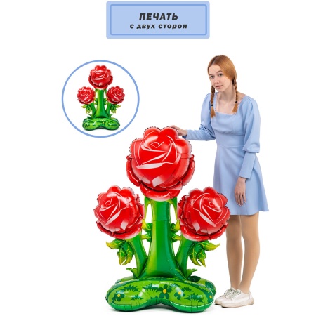 К ФИГУРА AIR Розы красные