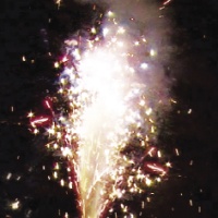 Золотой скарабей Р4512 1/12/1