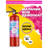 Баллон Гендер Пати Краски Холи 3л малин