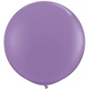 Q 3' Фэшн Spring Lilac