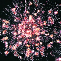 Веселого Нового года! Р8598 (1,25