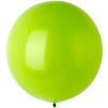Э 24"/280 Фэшн Lime Green
