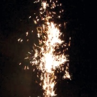 Лапки  6