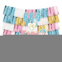 Гирлянда-бахрома Boy or Girl? 1,5х1,5м/А