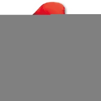К ЦИФРА 1  40" Red