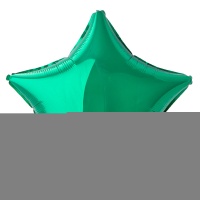 Ф Б/РИС 18" ЗВЕЗДА Металлик Green(FM)